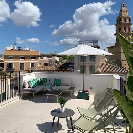 Boutique Petit Montisión