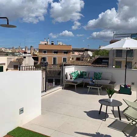 Boutique Petit Montisión Hotel 4*